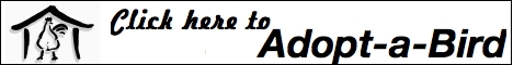 Click here to adopt a bird